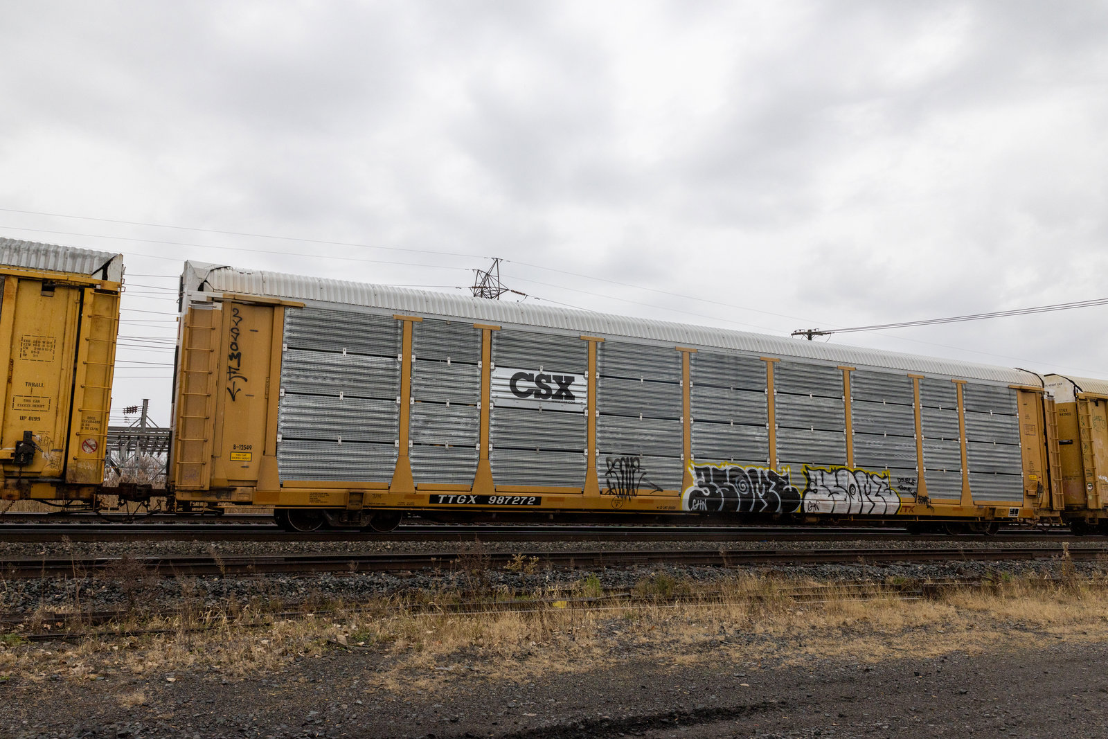 TTGX 987272