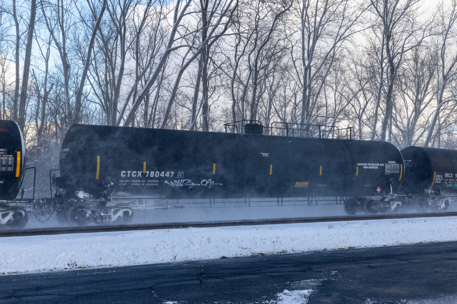 CTCX 780447