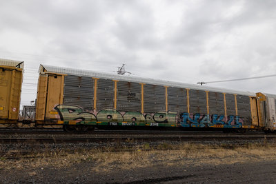TTGX 965221