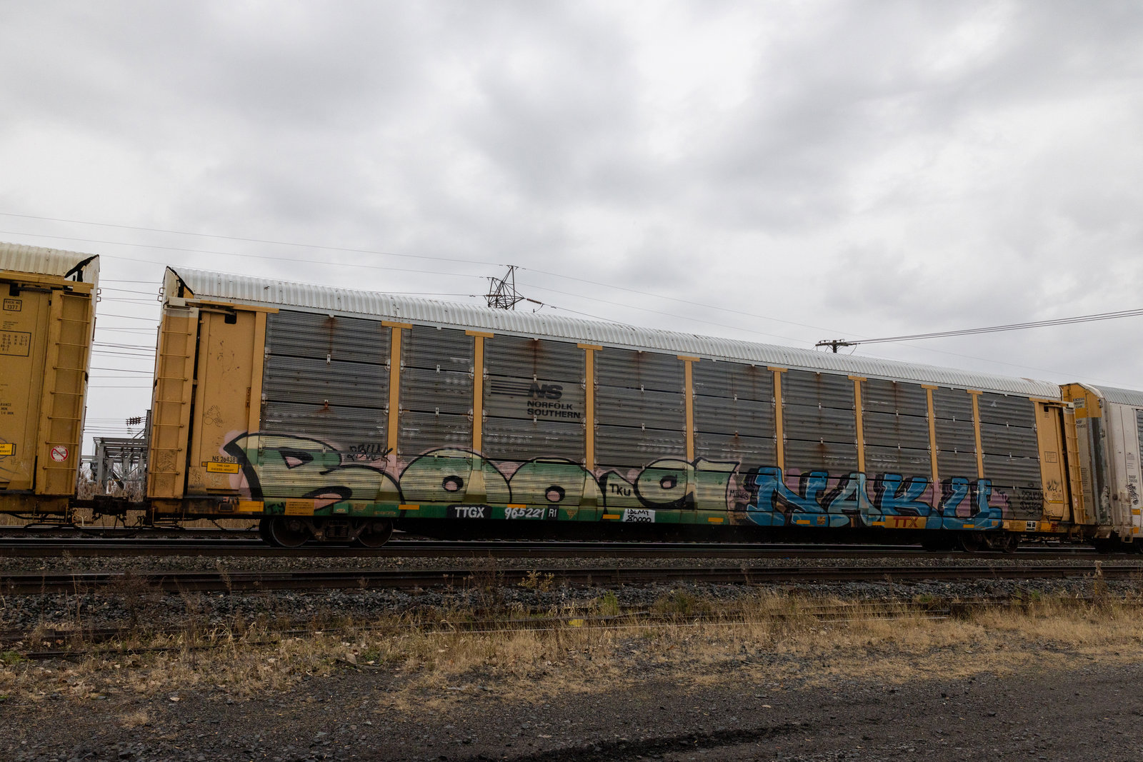 TTGX 965221