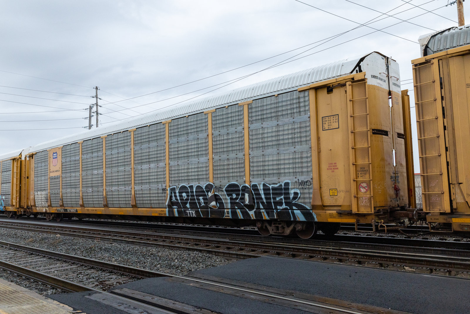 TTGX 979907
