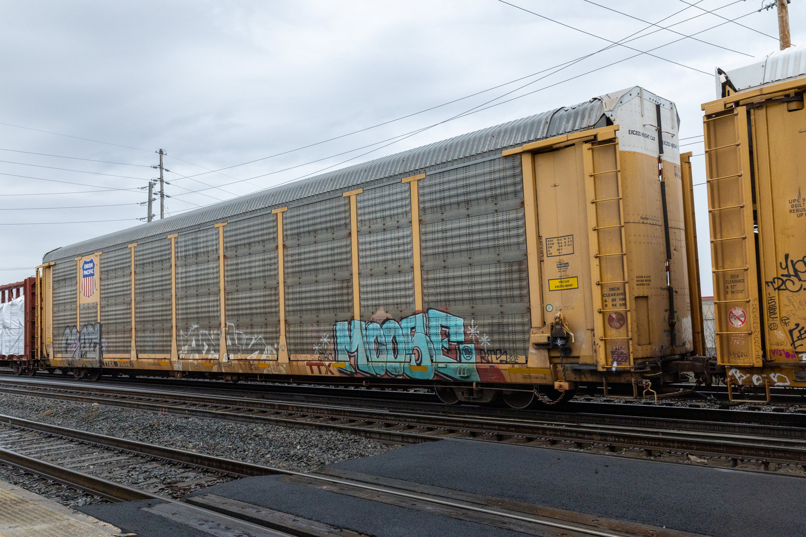 TTGX 996663