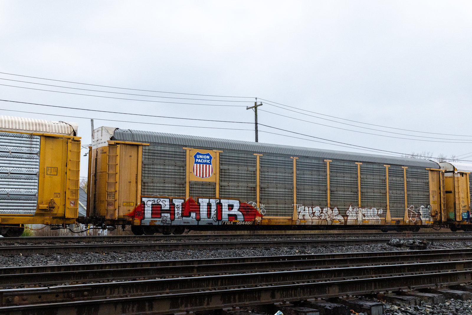 TTGX 994466