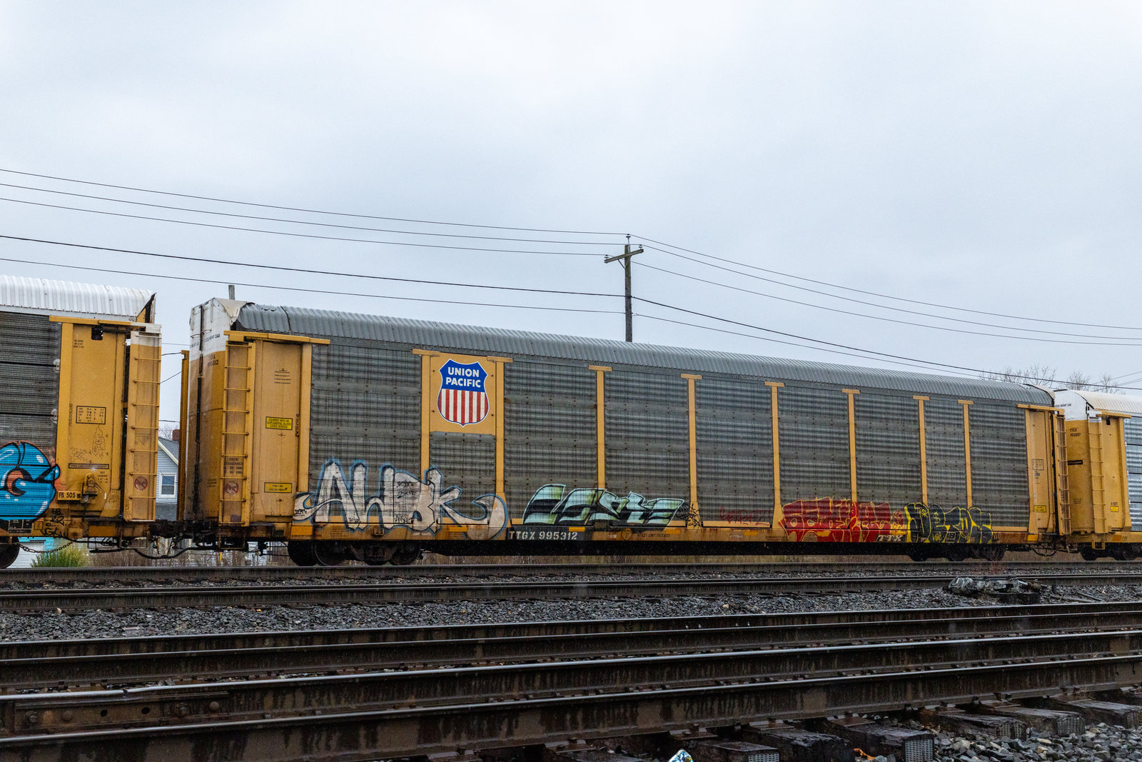 TTGX 995312