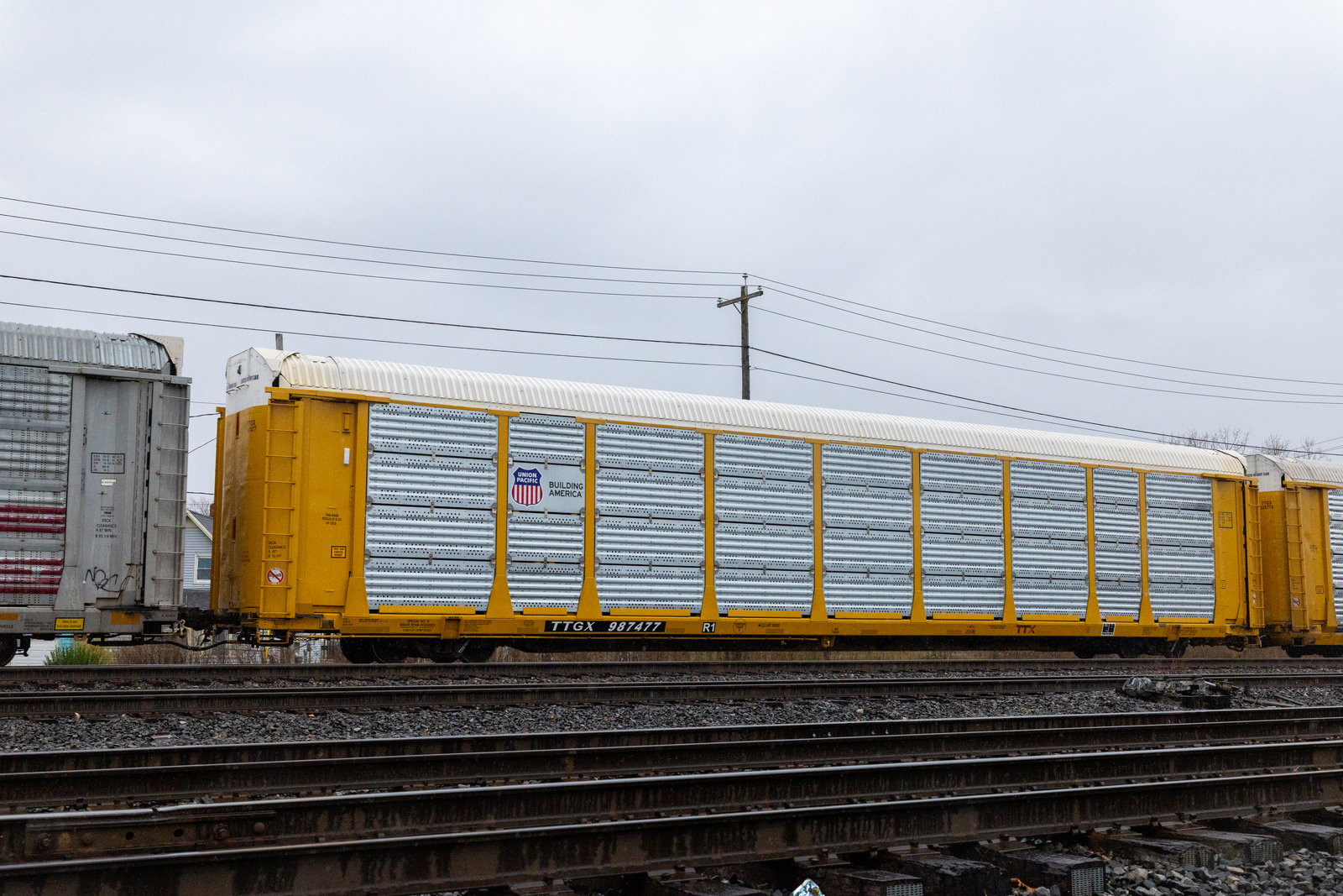 TTGX 987477