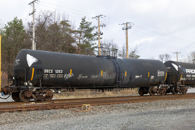 BRCX 1263