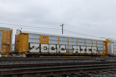 TTGX 980295