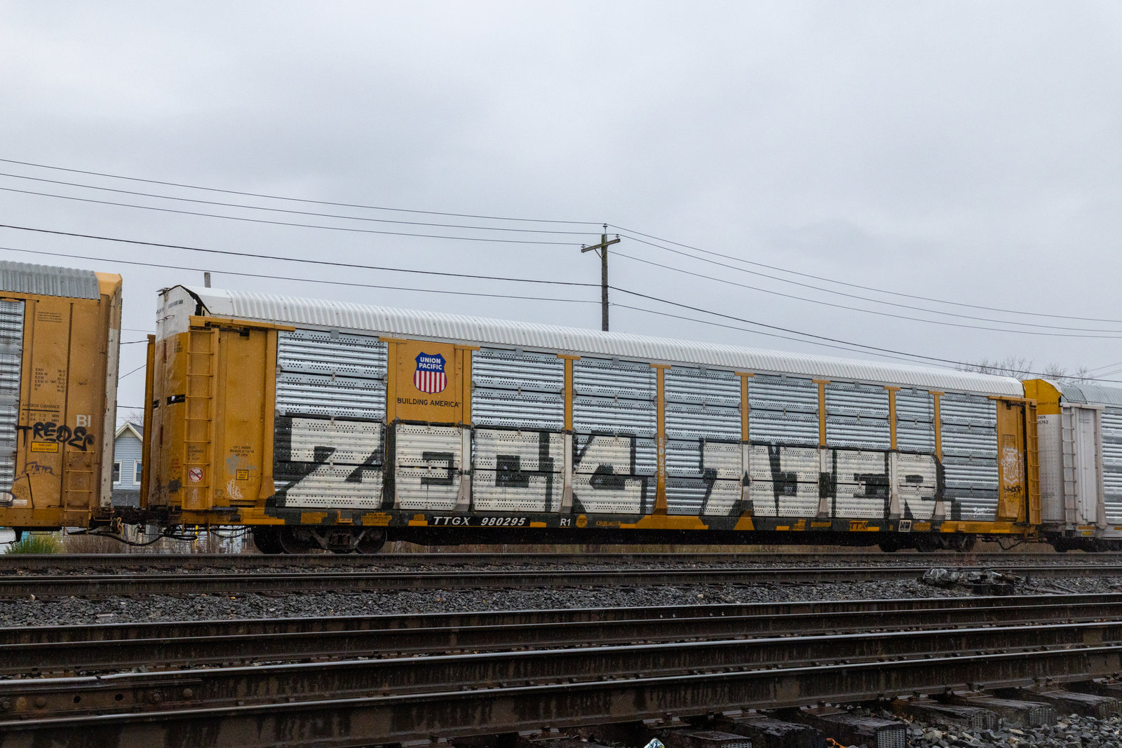 TTGX 980295