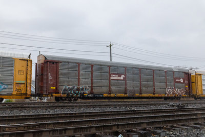TTGX 974661