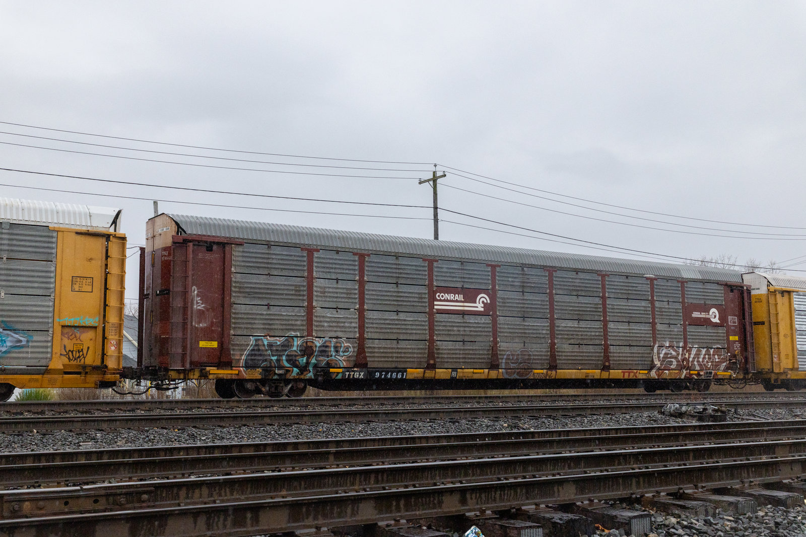 TTGX 974661