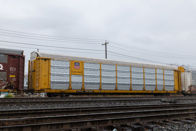 TTGX 991664