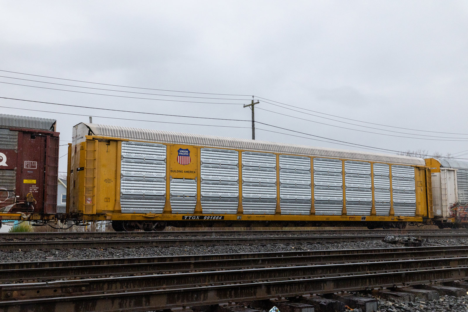 TTGX 991664
