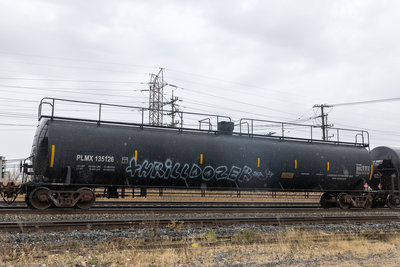 PLMX 135126