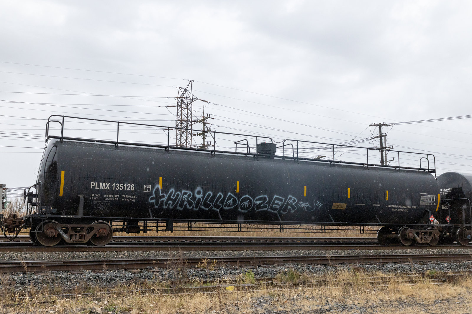 PLMX 135126