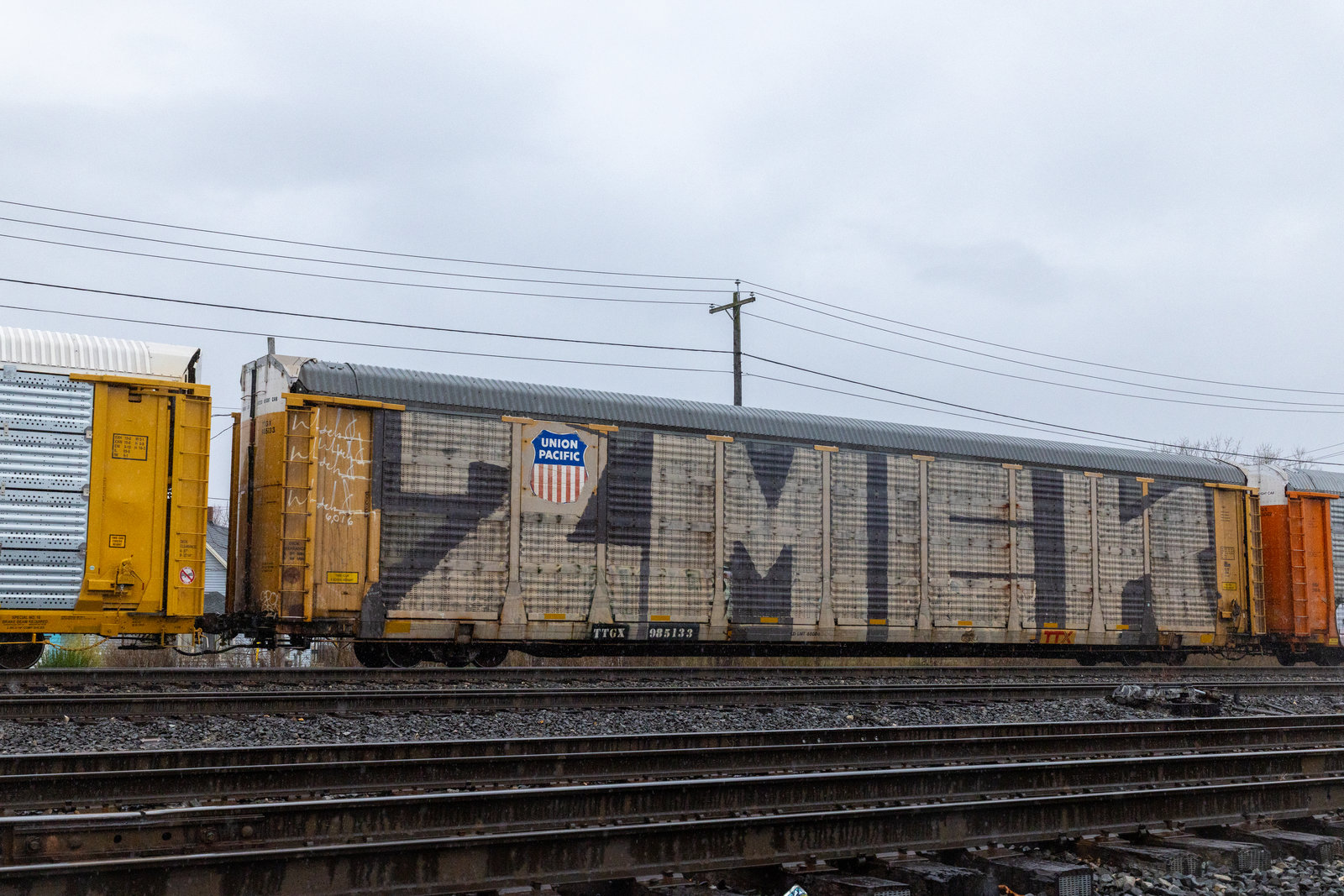TTGX 985133