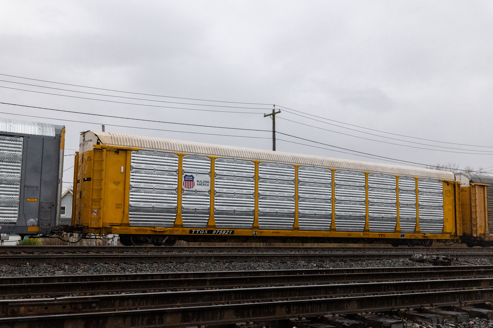TTGX 975821