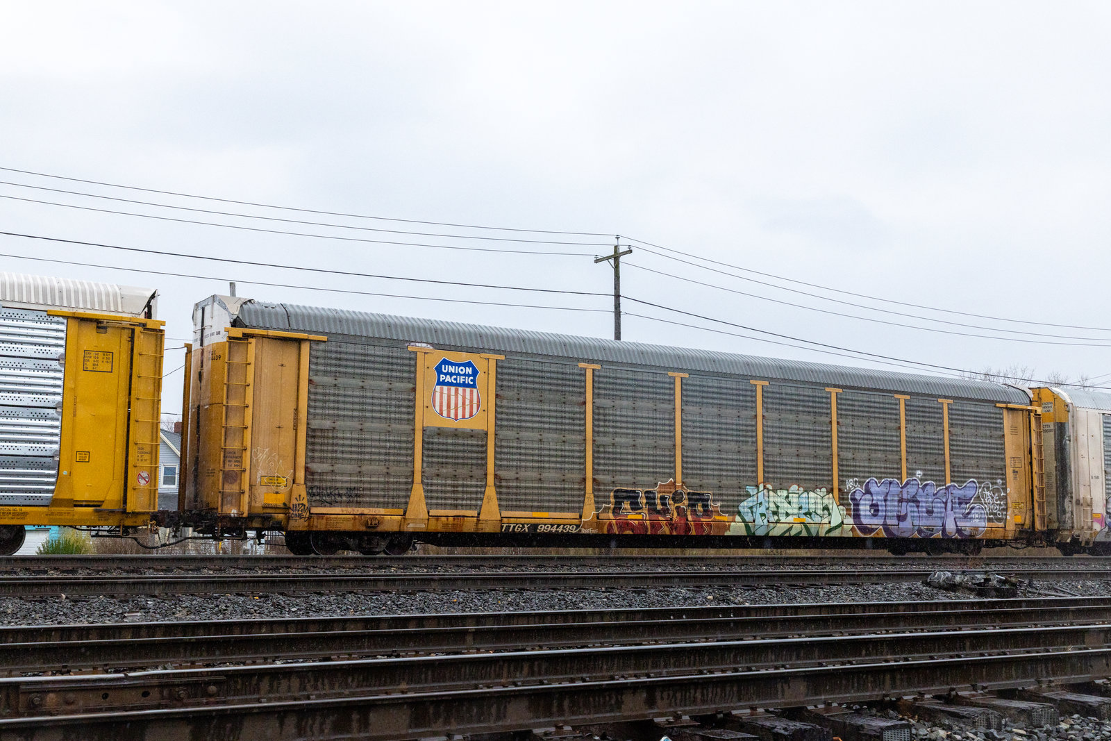 TTGX 994439