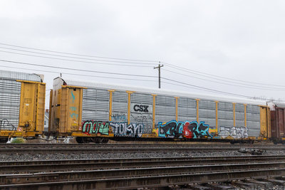 TTGX 983564
