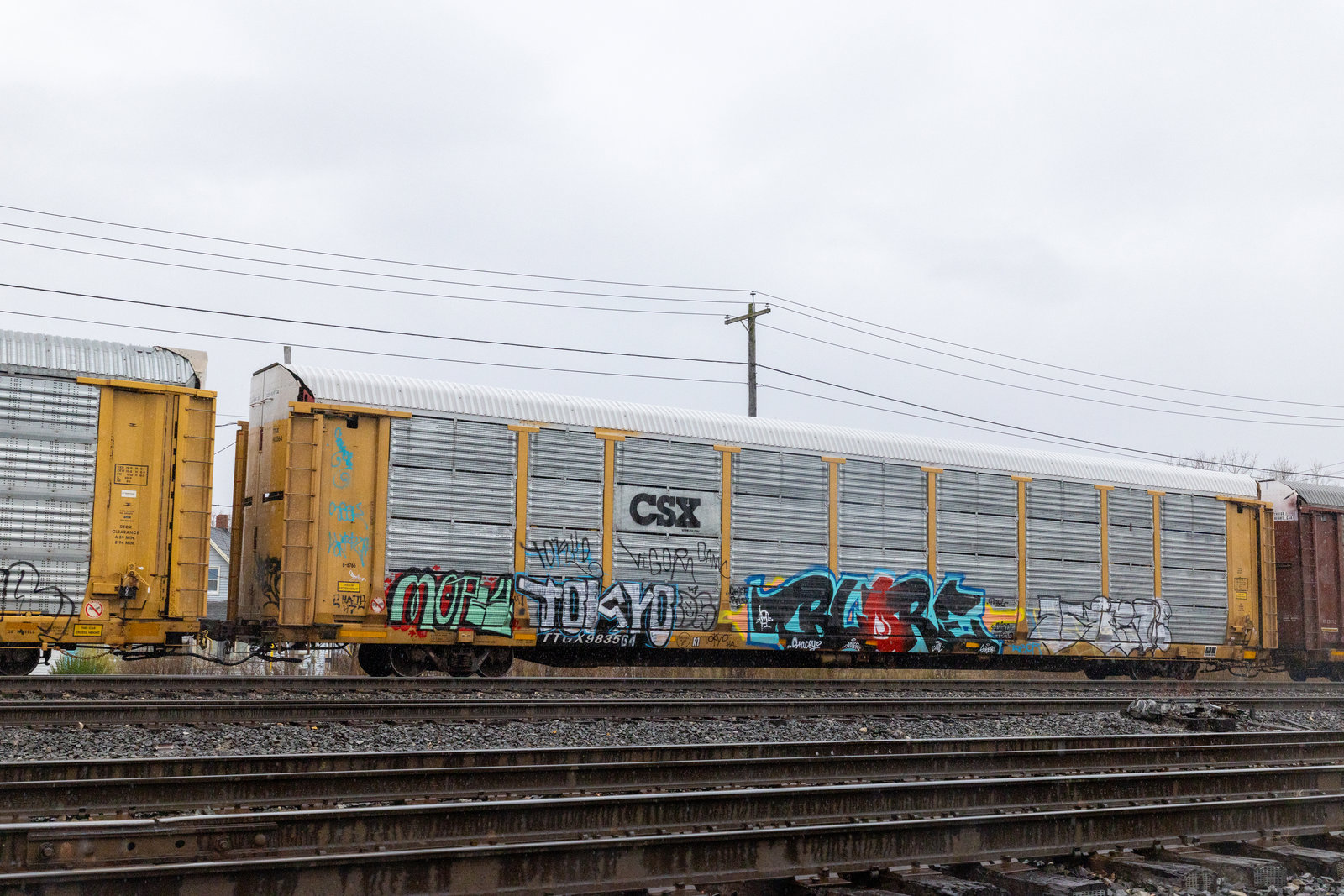 TTGX 983564