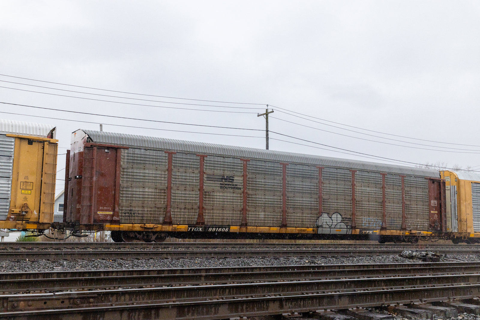 TTGX 991806