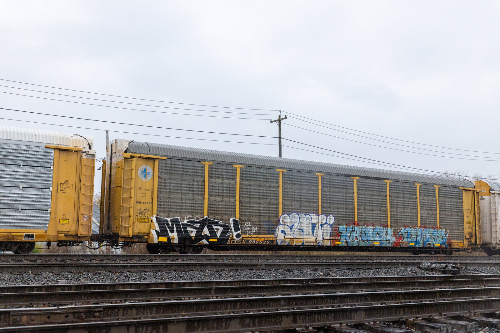 TTGX 986635