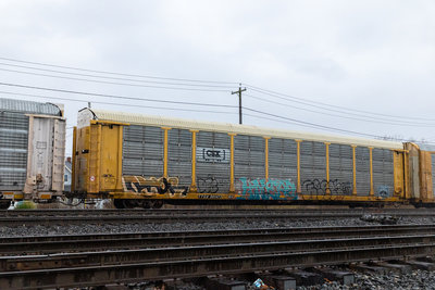 TTGX 991473