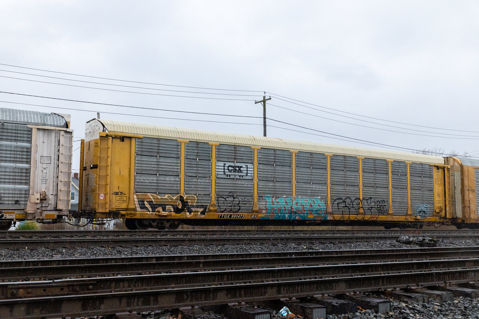 TTGX 991473