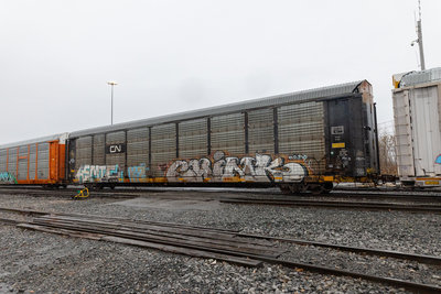 TTGX 991634