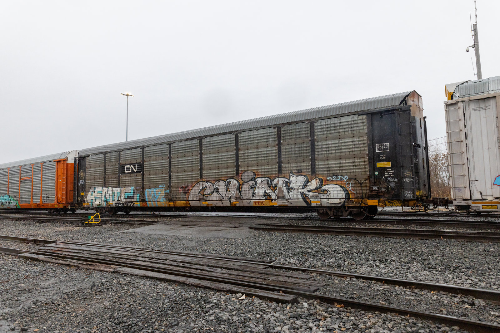 TTGX 991634