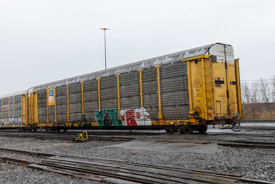 TTGX 975109