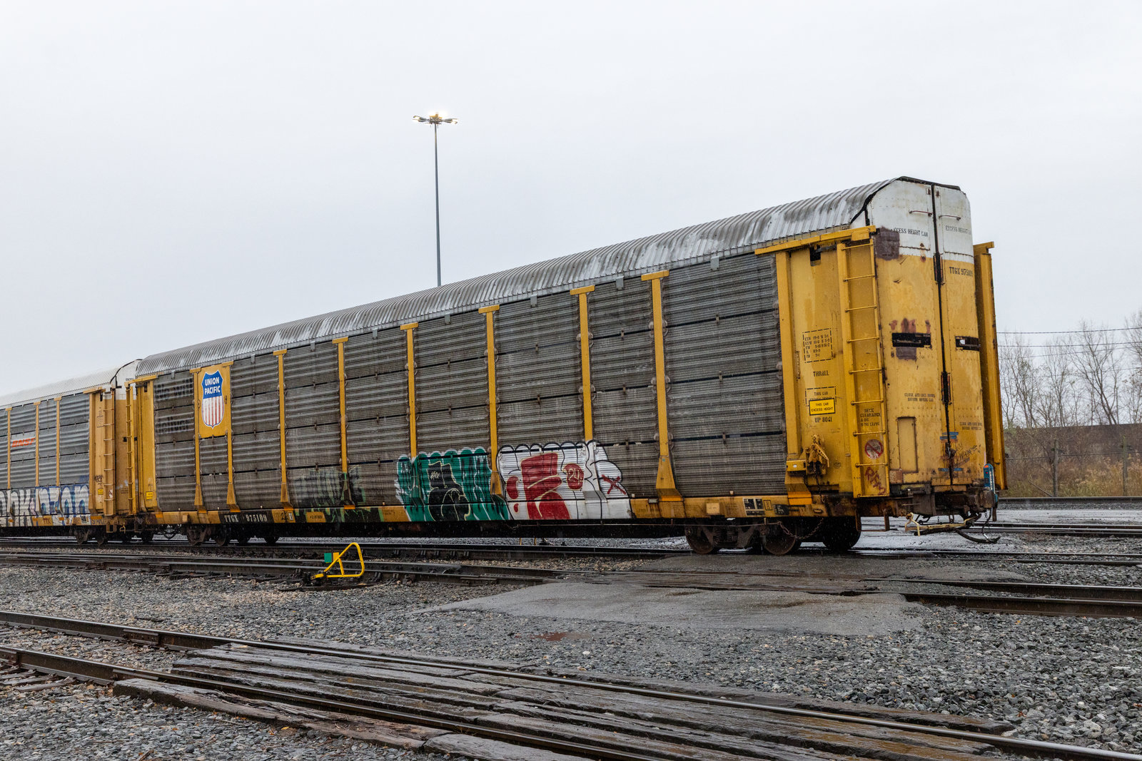 TTGX 975109