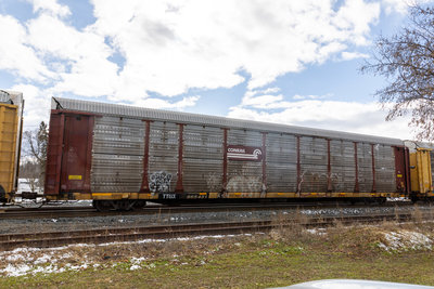 TTGX 965431