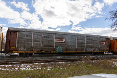 TTGX 980189