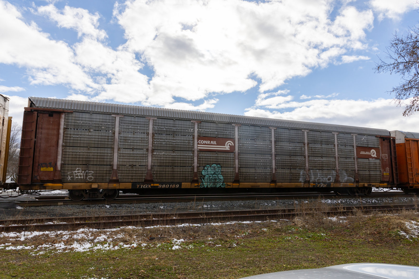 TTGX 980189