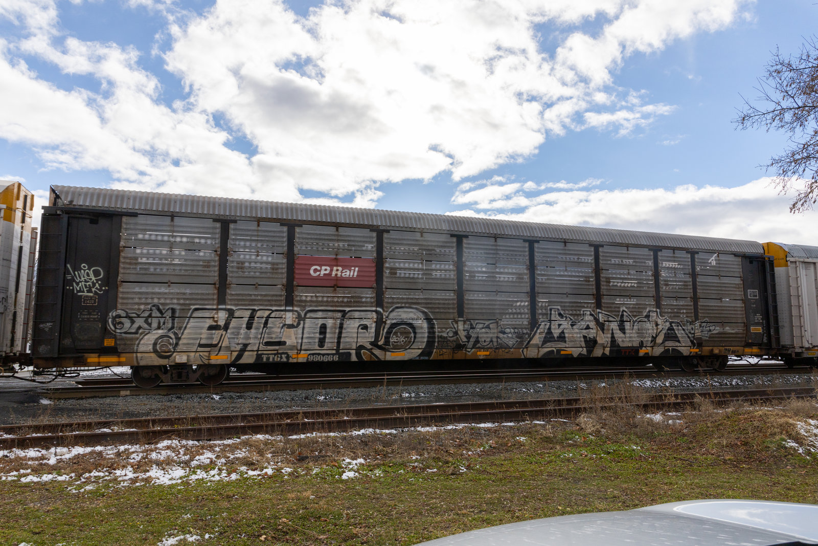 TTGX 980666
