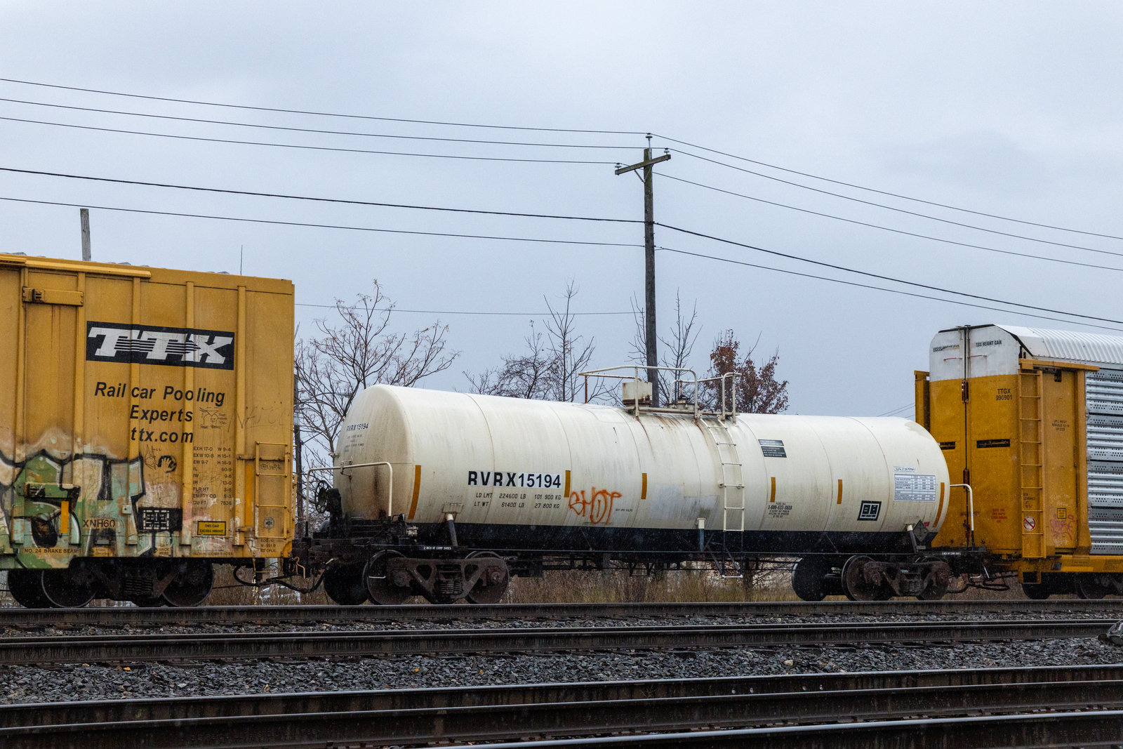 RVRX 15194