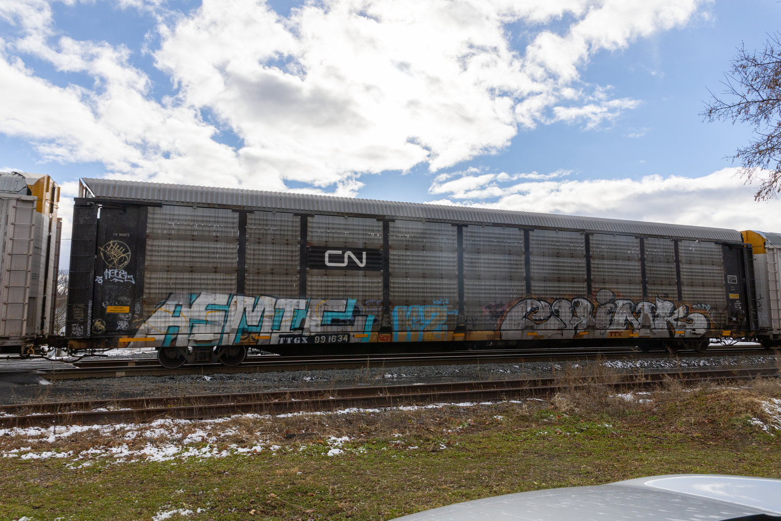 TTGX 991634