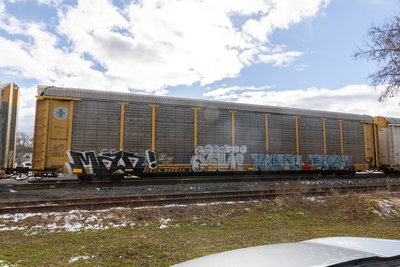 TTGX 986635