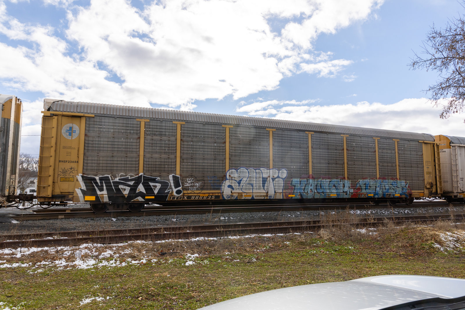 TTGX 986635