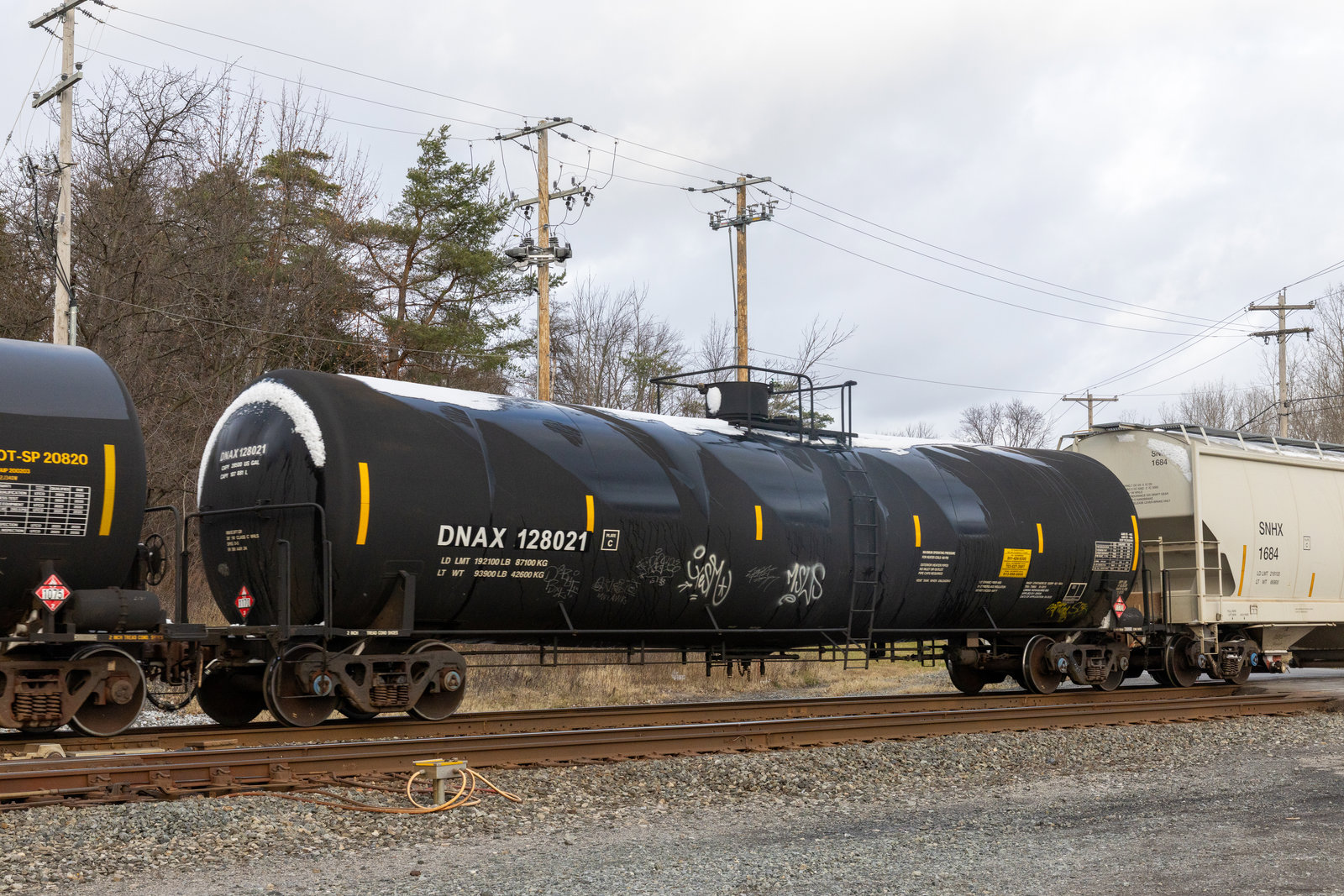 DNAX 128021