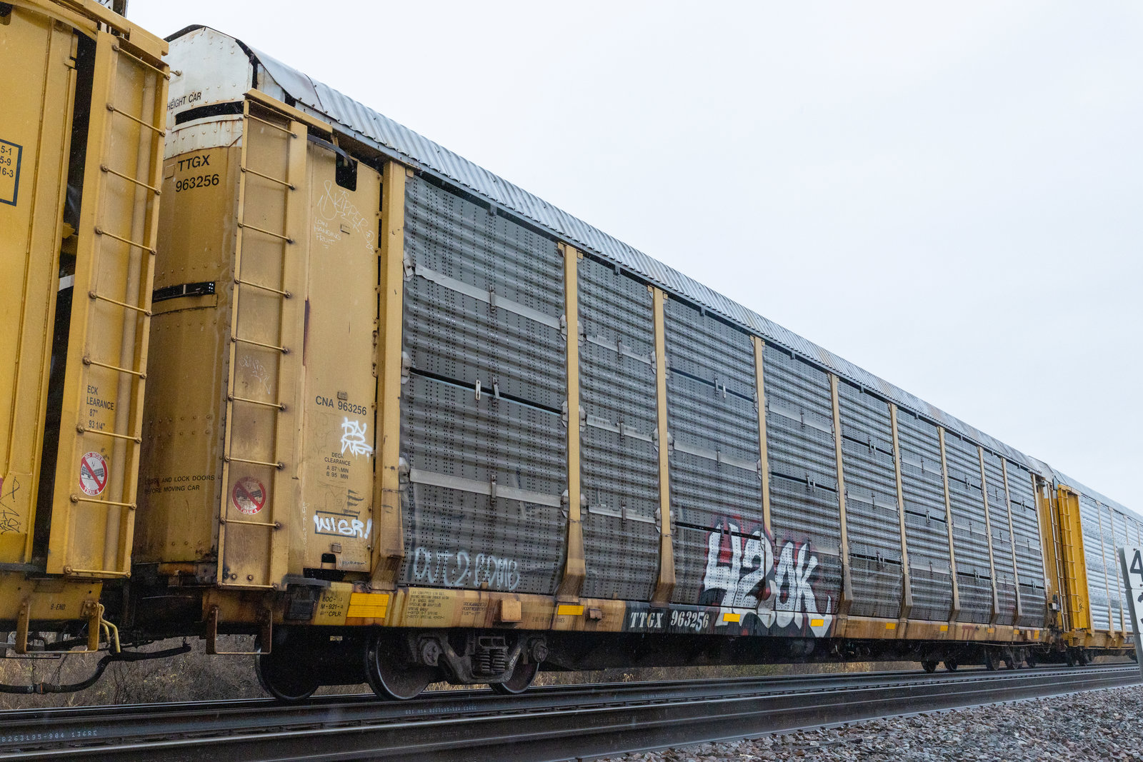TTGX 963256
