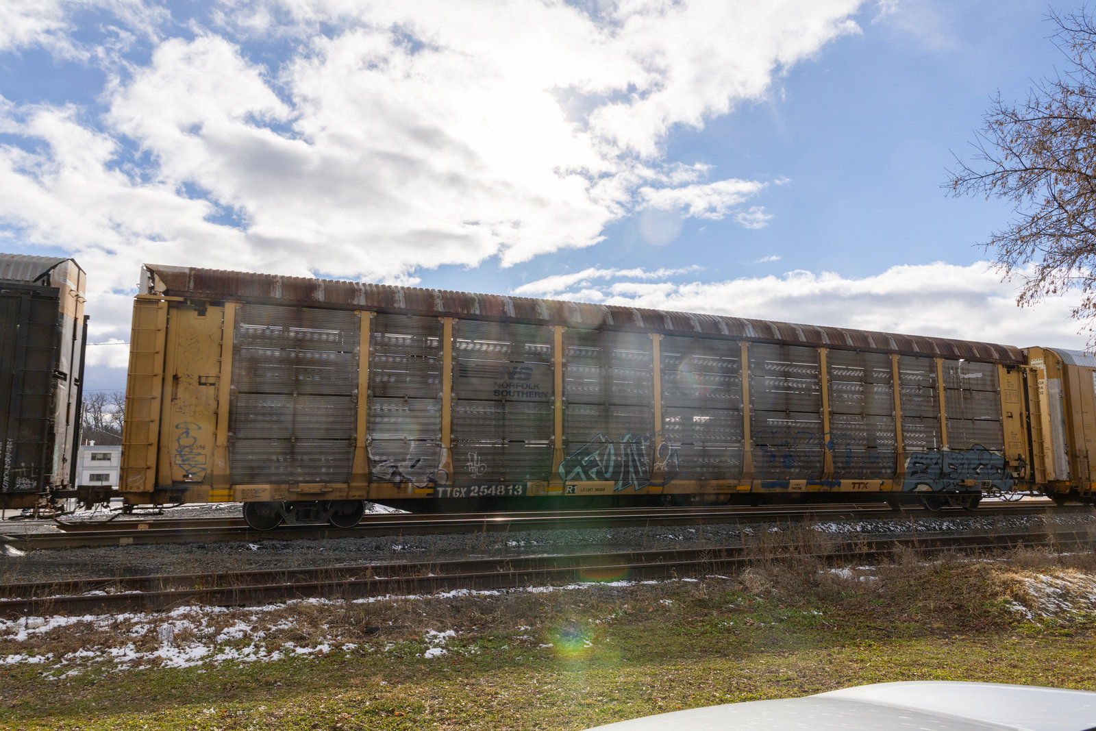 TTGX 254813