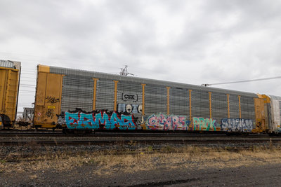 TTGX 716151