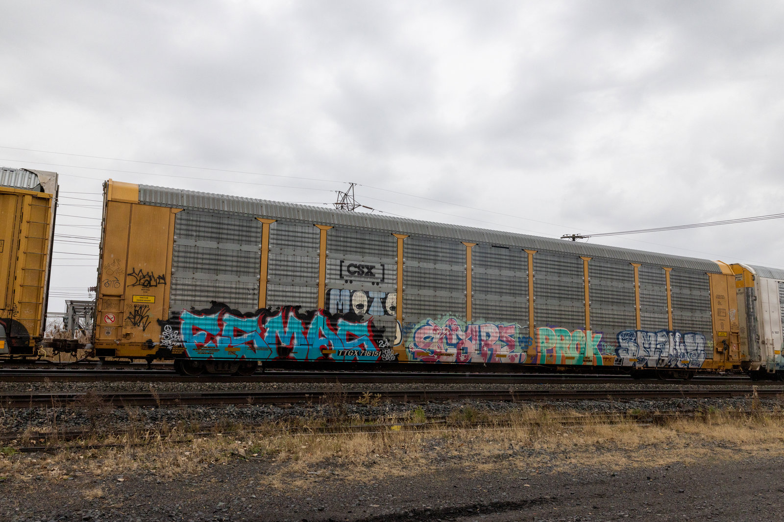 TTGX 716151