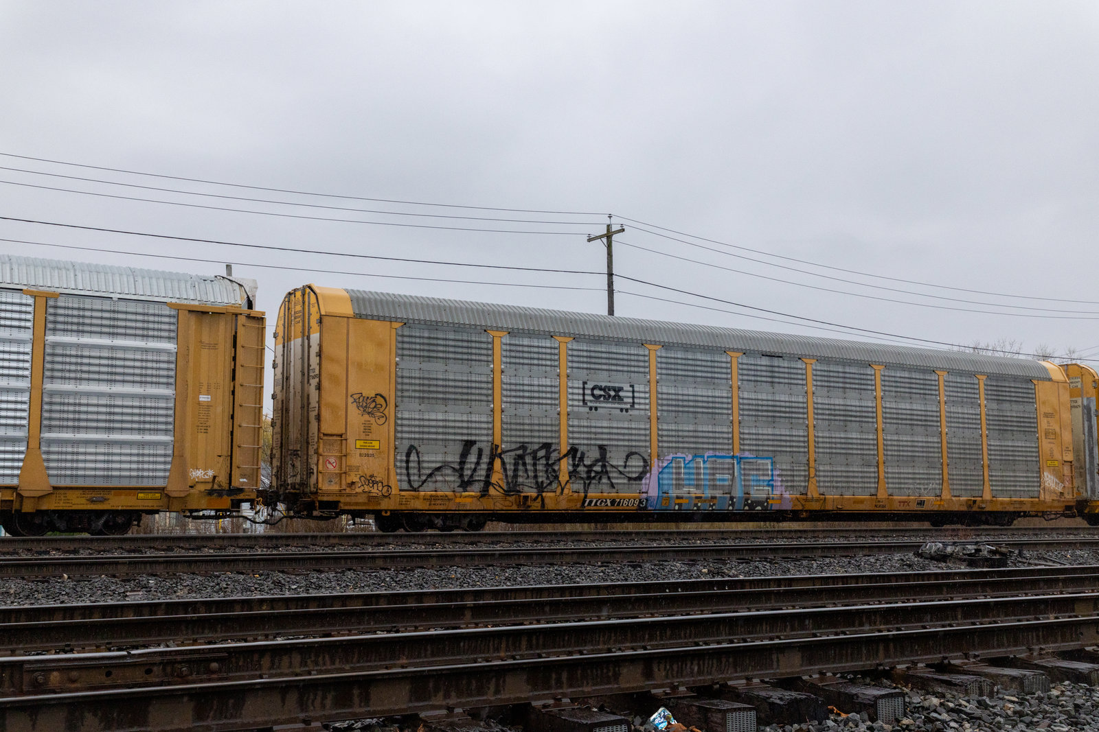 TTGX 716093