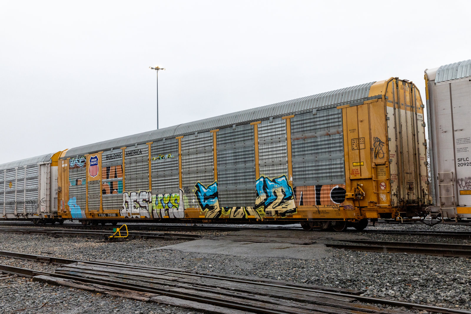 TTGX 715188