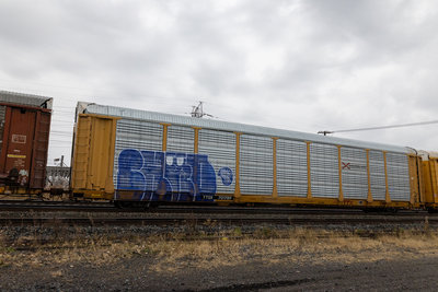 TTGX 701789