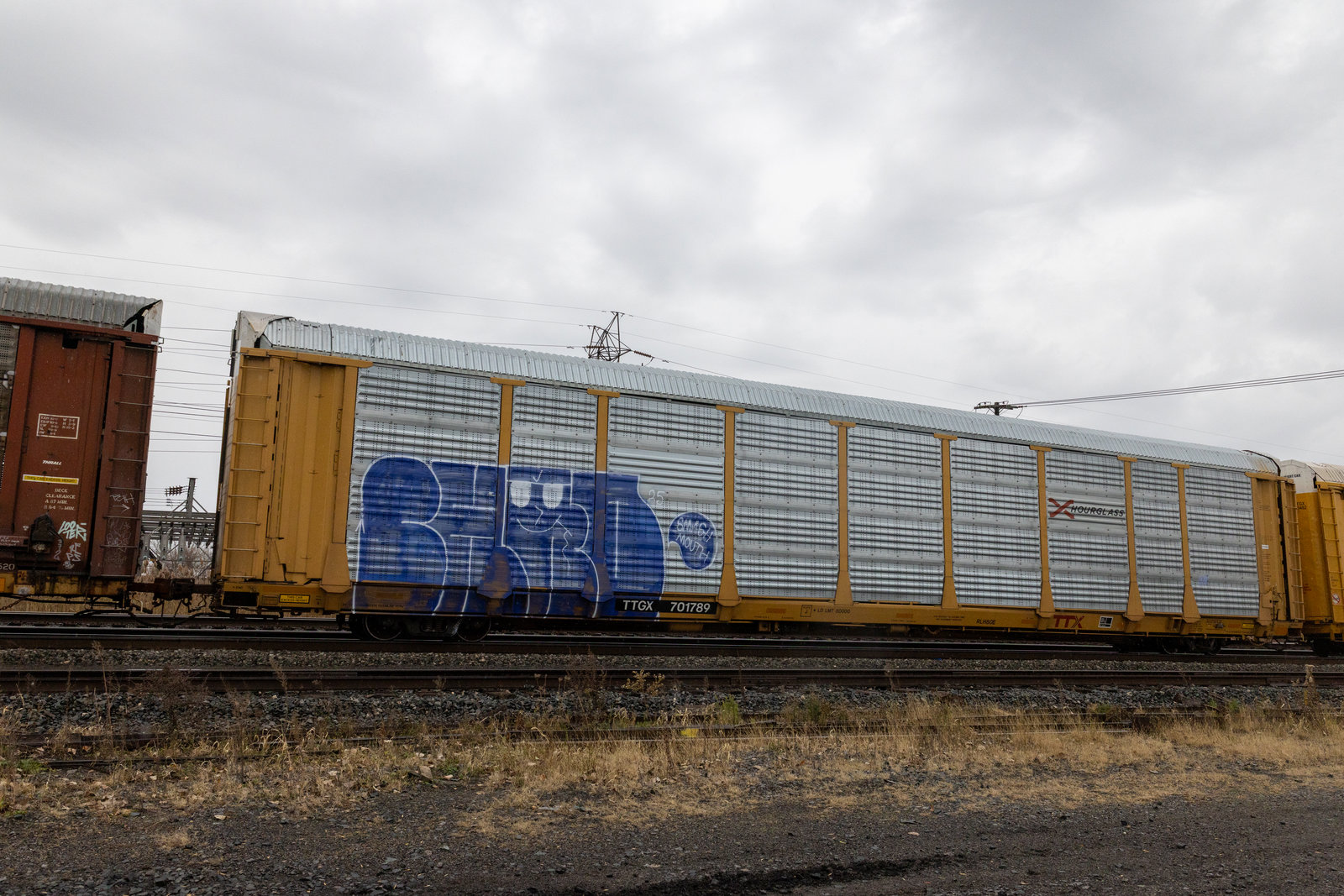 TTGX 701789