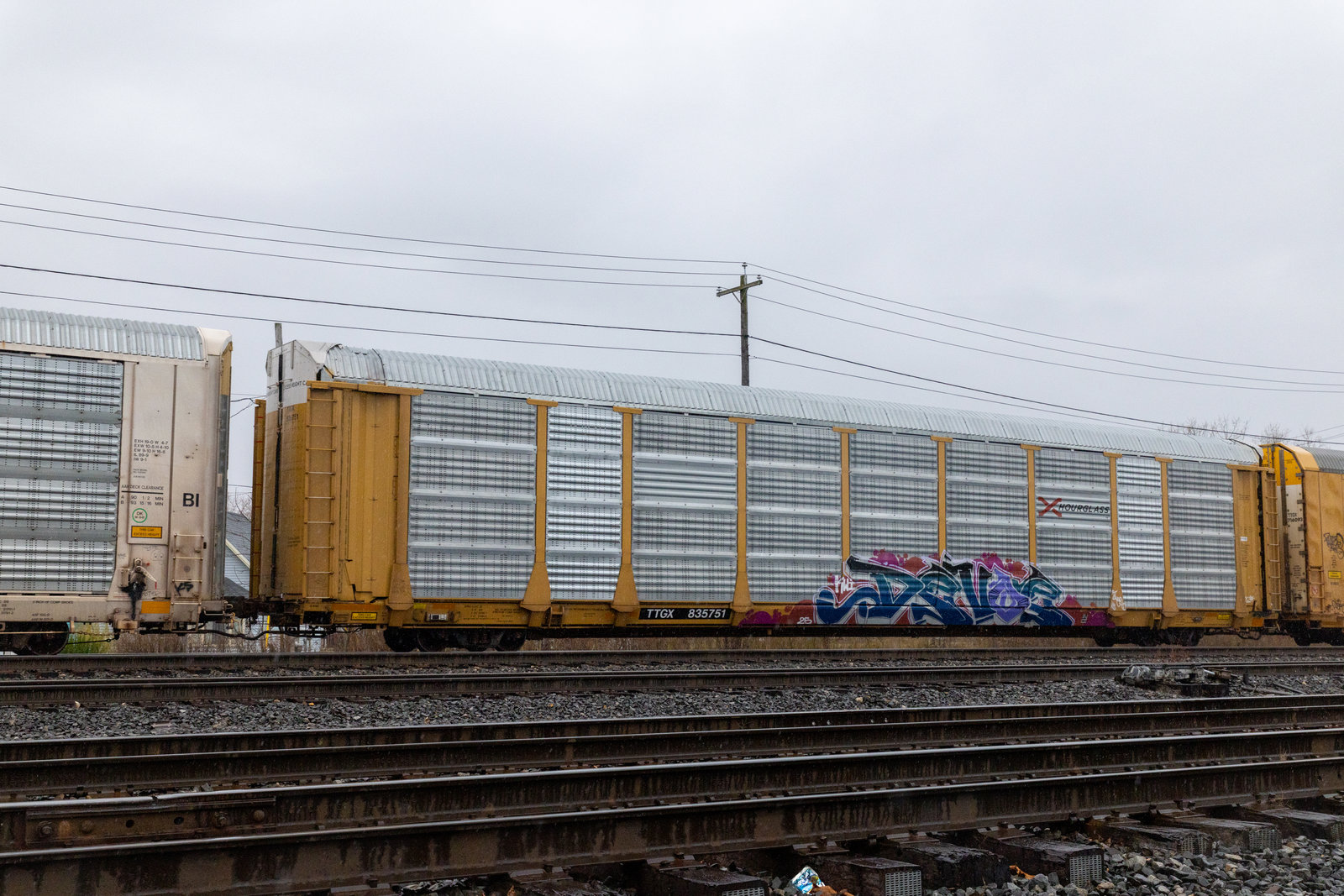 TTGX 835751