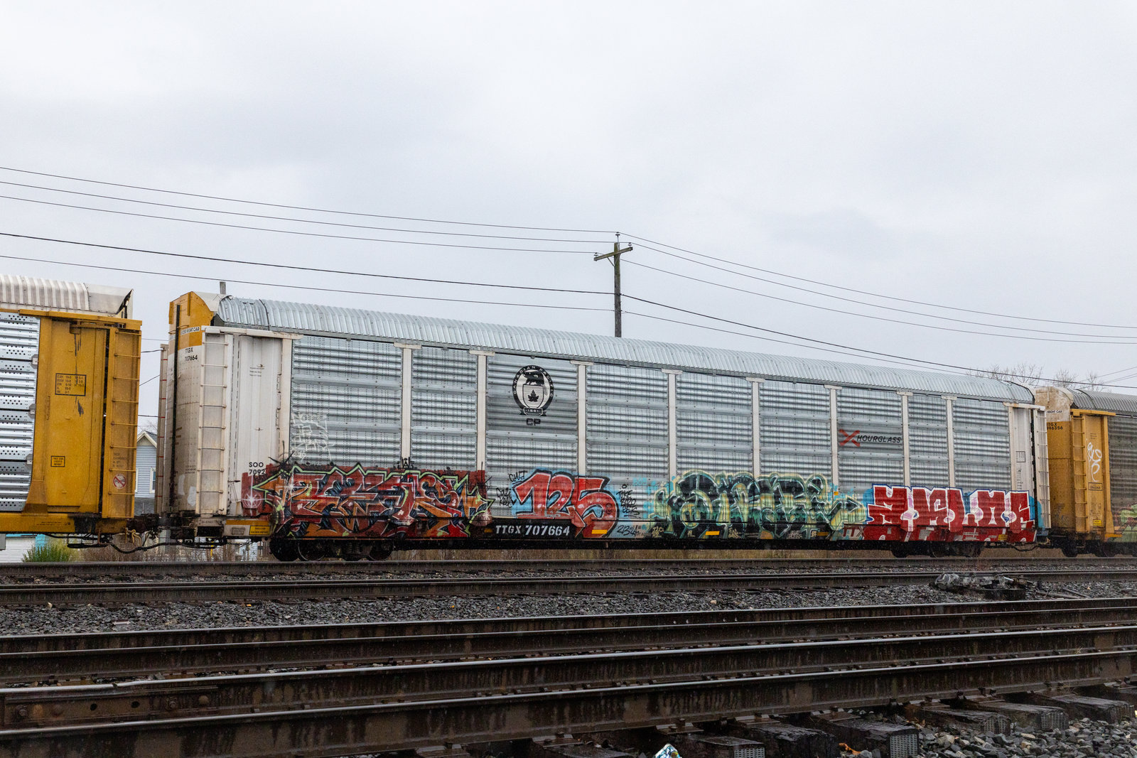 TTGX 707664